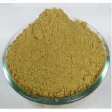 Moringa Seed / Kernal Powder